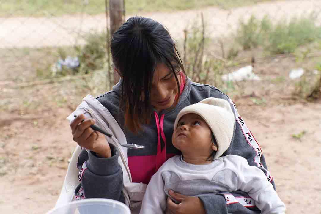 Colaborá con el Proyecto Dragones, en el Chaco Salteño.  - Imagen 1
