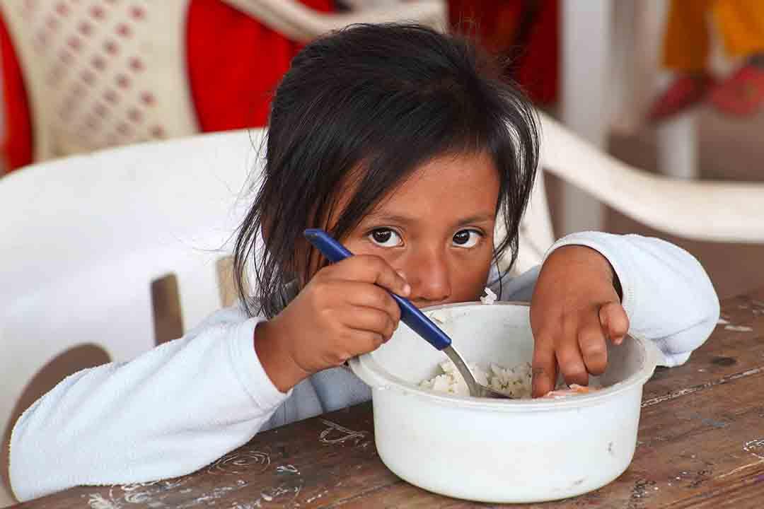 Colaborá con el Proyecto Dragones, en el Chaco Salteño.  - Imagen 2